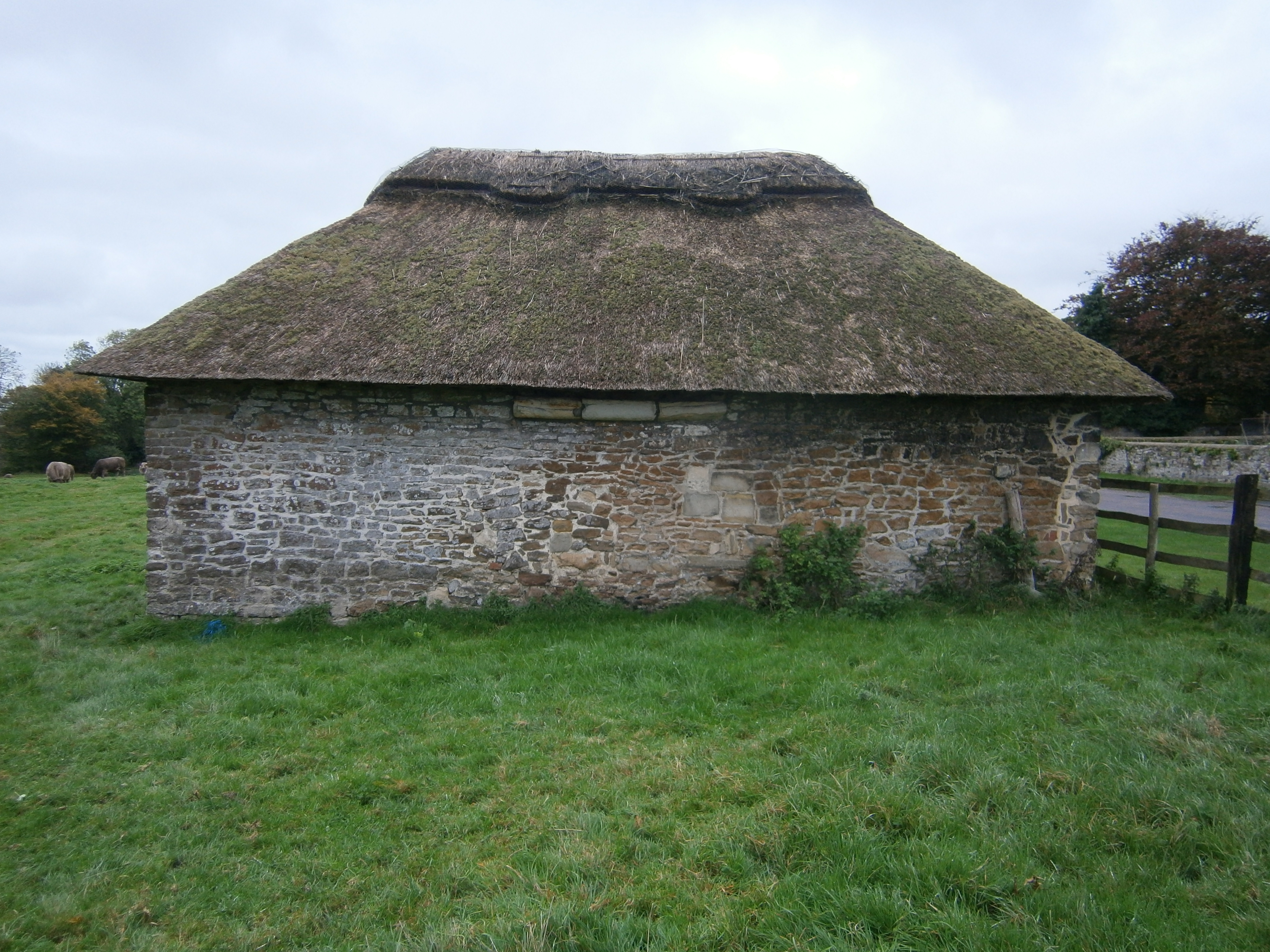 Winchelsea - Quarter 12